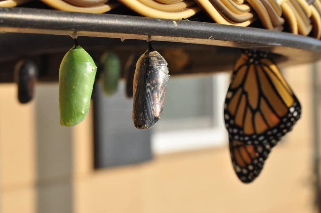 Preview image for 3 Ways of Type Transformation in Typescript blog post