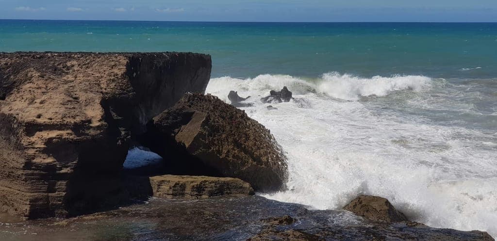 Angular 19 and ZoneLess