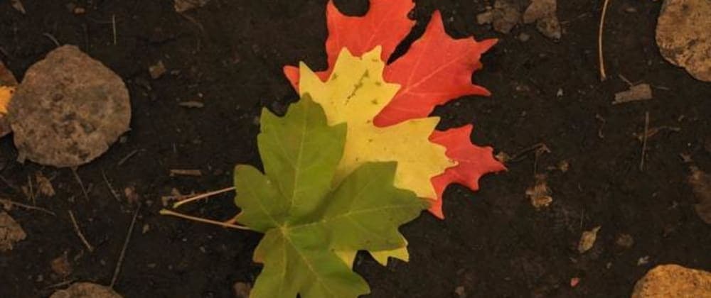 Preview image for How to use transitions and transform in CSS blog post